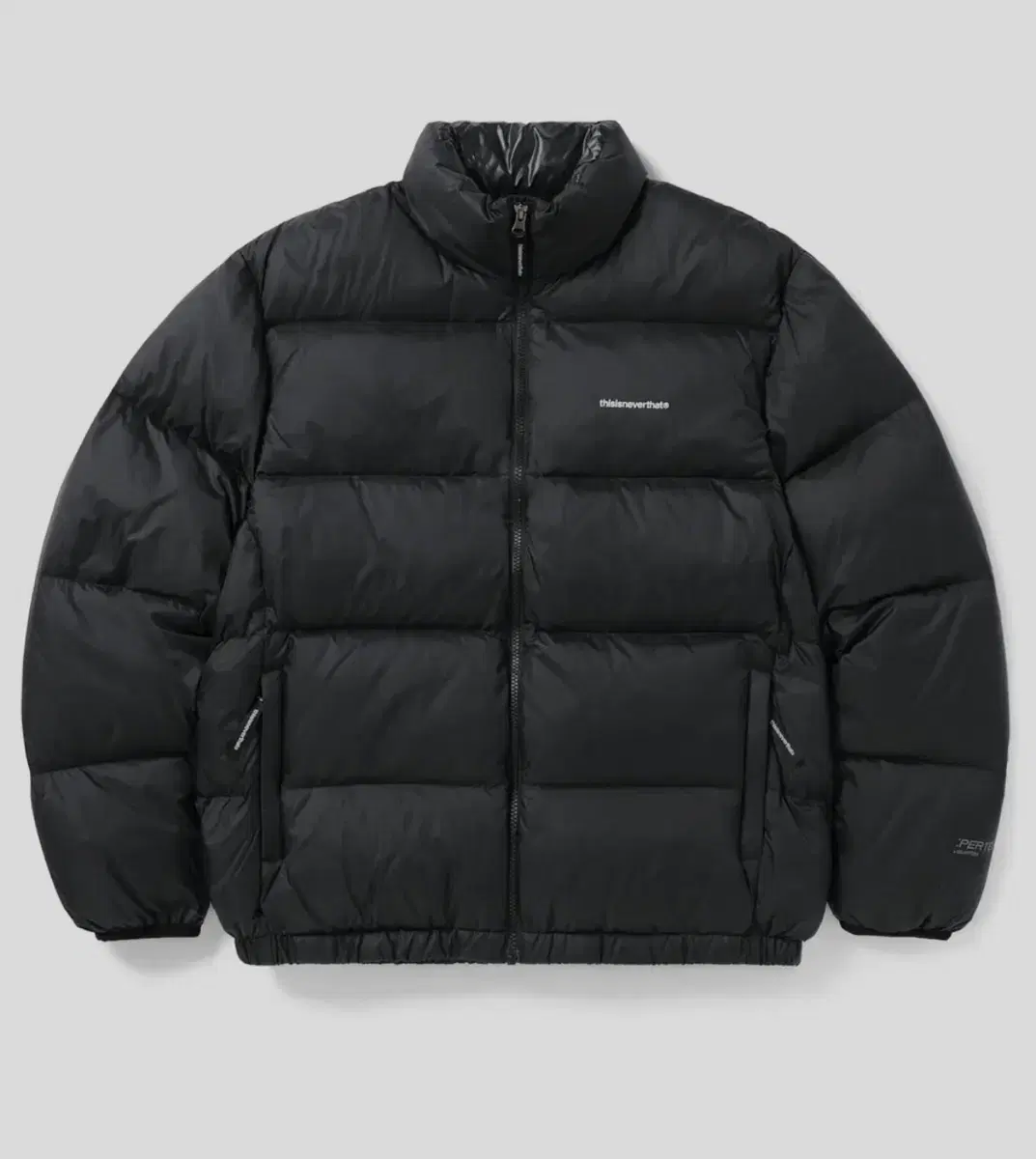 디스이즈네버댓 퍼텍스 패딩 PERTEX T Down Jacket